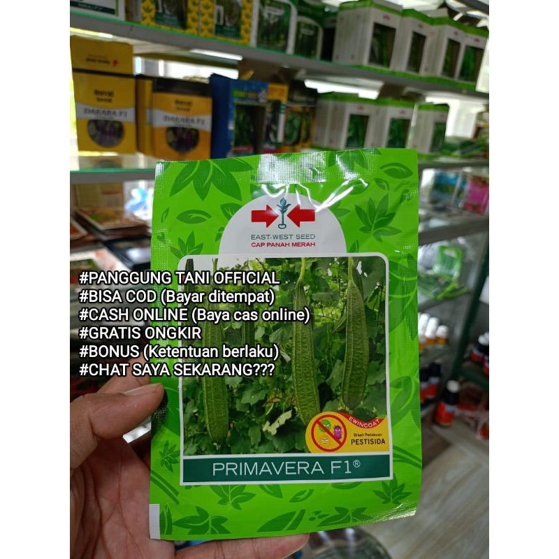 

Benih Gambas Oyong Primavera F1 Berkwalitas kemasan 75 Butir Kadaluarsa. 2025 (Terbaru Panjang) Tidak Pahit/Berkwalitas/Termurah Seindonesia/Anti Virus Gemini, Layu Fusarium/Perawatan mudah/Warna Hijau/Disukai Pasar/Tahan Simpan/Lebat Berbobot/100 % Ori