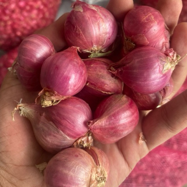 

bawang probolinggo ready setiap hari 18.000/500 gr