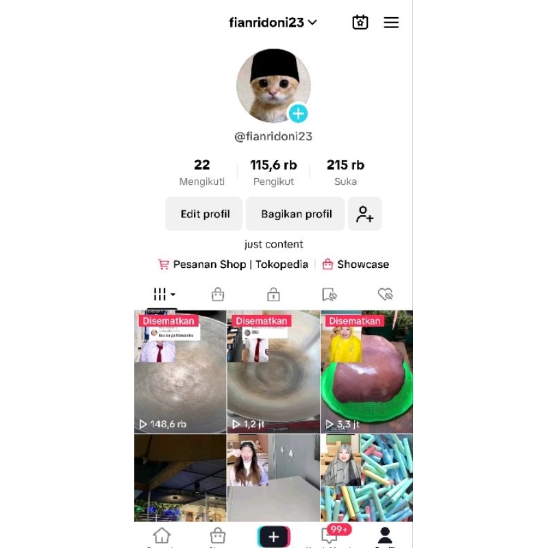 Akun Tiktok Indo 115k Folowers Real Organik Konten Fyp Bisa Live l Akun Tiktok Real