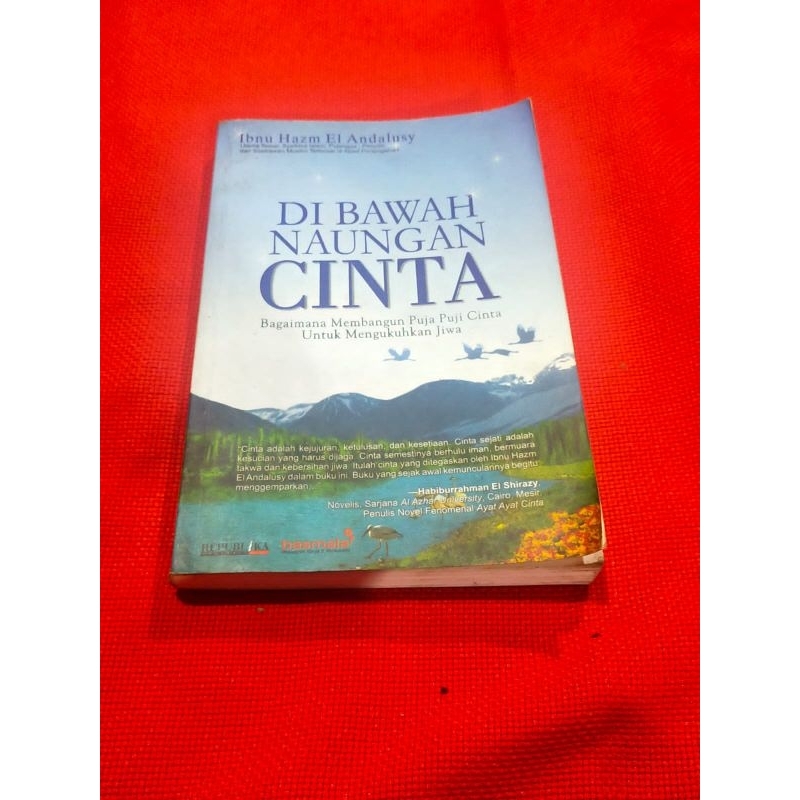 Dibawah Naungan Cinta