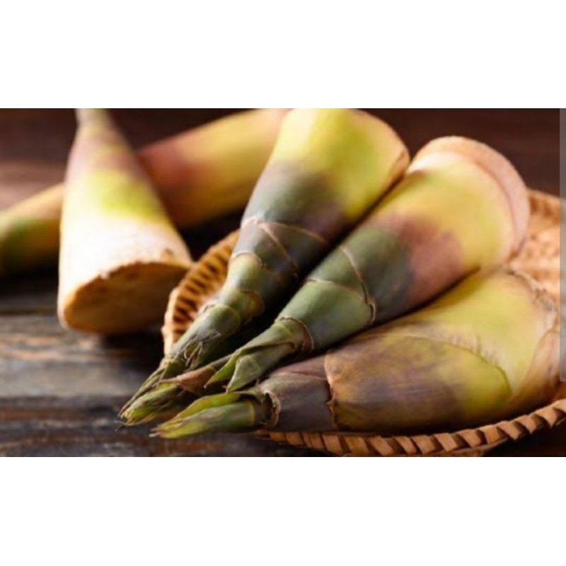 

Sayur rebung_500grm
