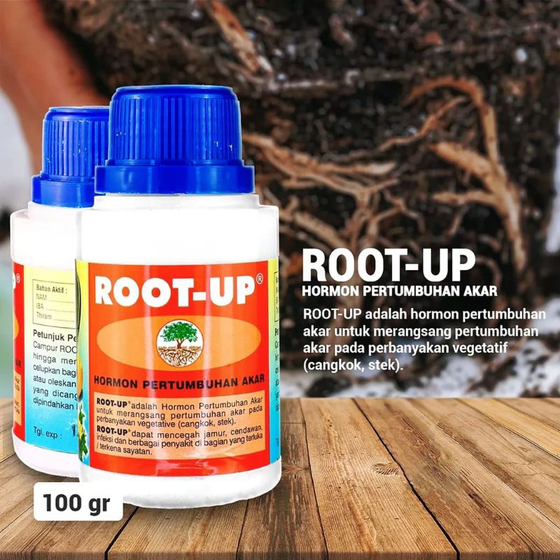 ROOT UP 100GR HORMON PERTUMBUHAN AKAR CANGKOK STEK BATANG TANAMAN ROOT-UP 100 GRAM