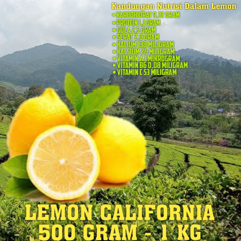 

Jual Buah Lemon California Fresh Kuning (500gram + 1KG)