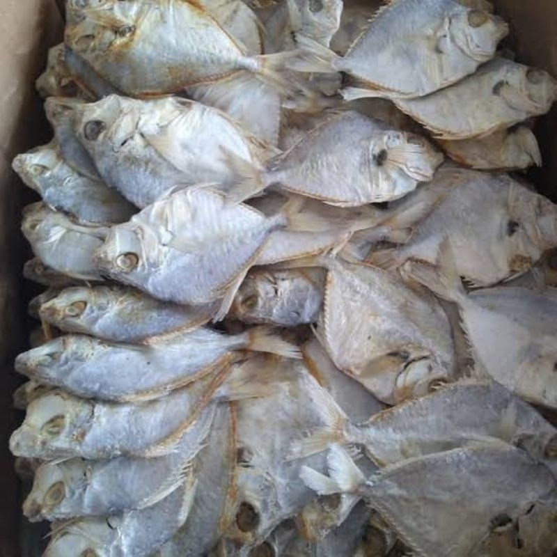 

ikan asin pepetek 1kg