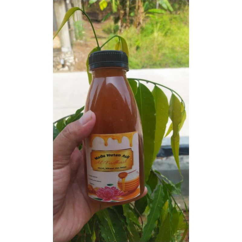 

madu Sialang Al-fudhail - Madu hutan asli