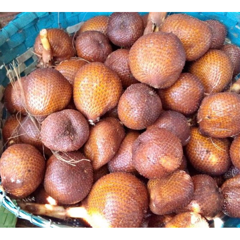 

Buah salak Bali