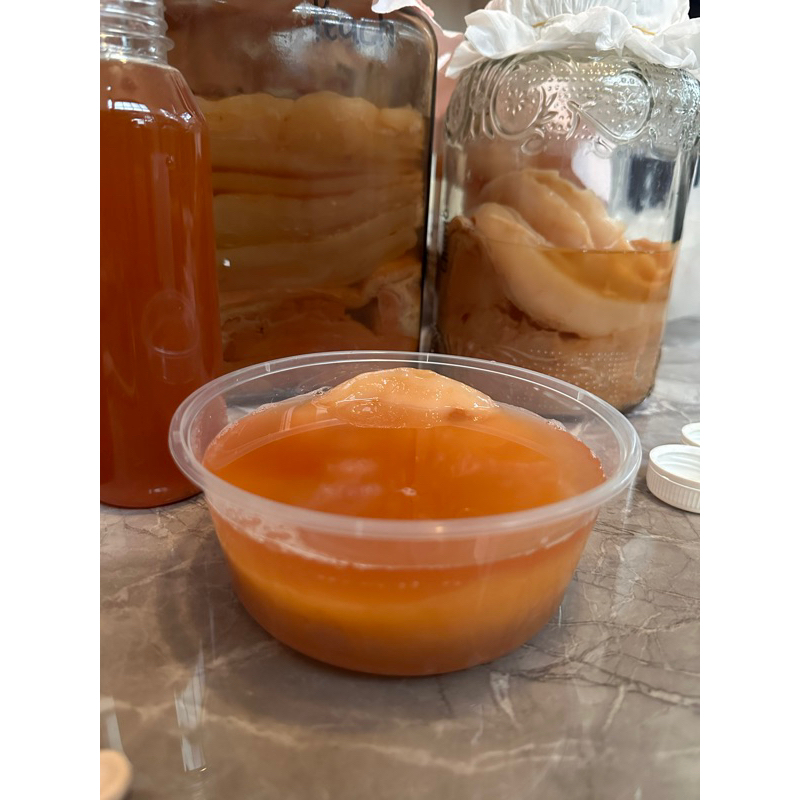 

starter scoby kombucha bibit kombucha diameter 14cm tebal 3cm