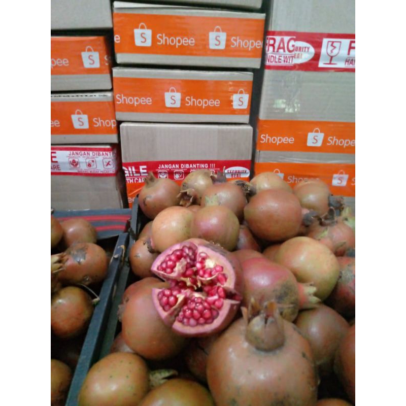 

delima lokal india uk small