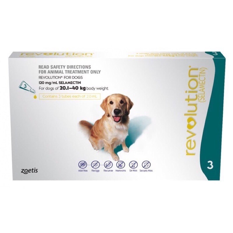 Revolution Teal Dog 20.1-40kg (Tube)