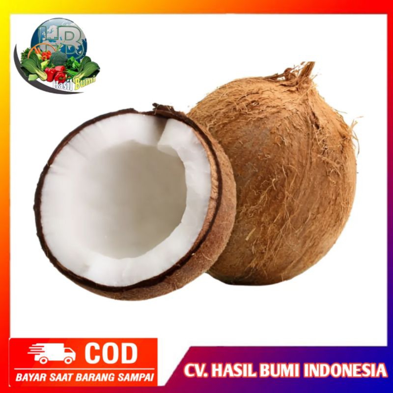 

Kelapa tua segar per butir untuk bahan santan kelapa asli