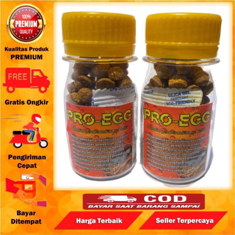 JAMU MERPATI BETINA MACET TELUR