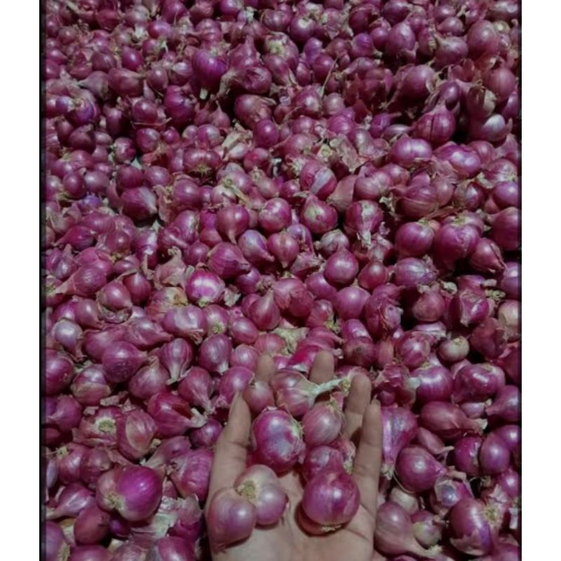 

bawang merah segar 500 g