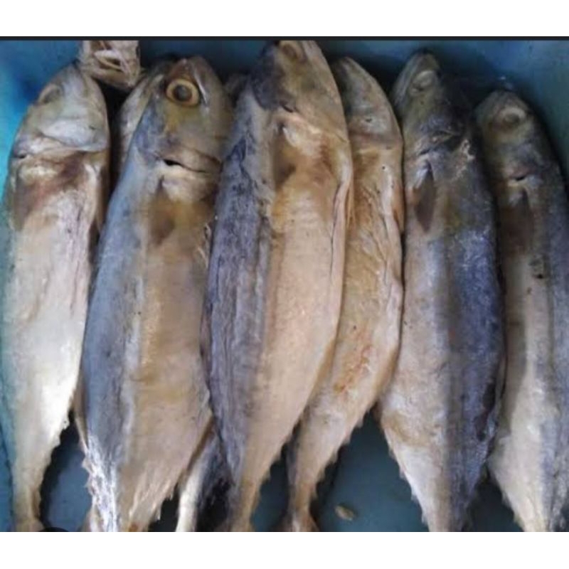 

ikan asin peda
