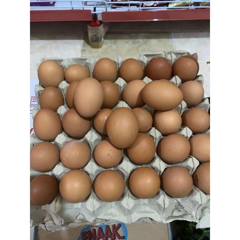 

INSTANT BJM ONLY‼️ TELUR AYAM 1 KG FRESH BERGARANSI