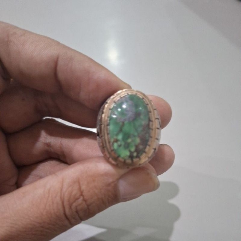 Pirus Persia Hijau / Ijo Kedondong Lawasan