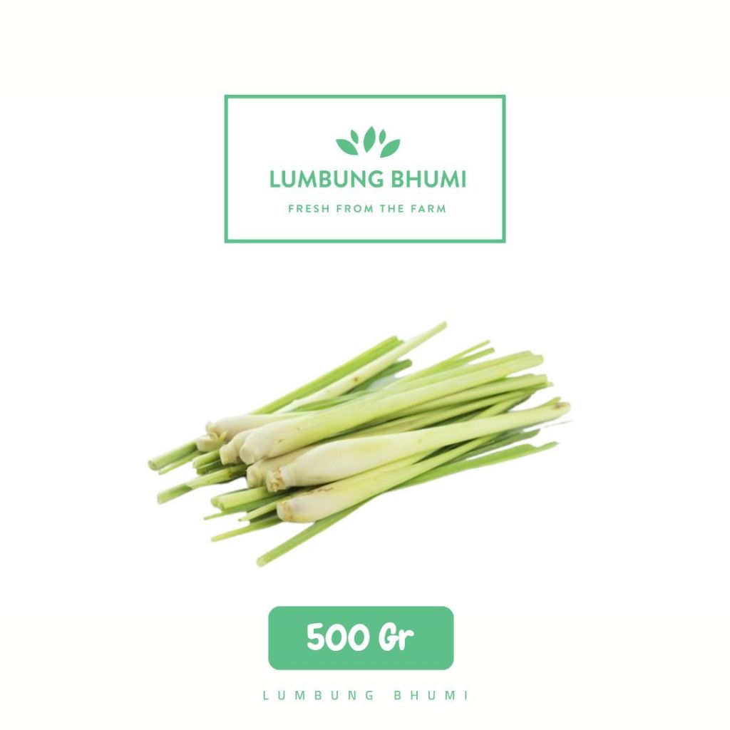 

Batang Serai Besar Sayur 500 Gr - Lumbung Bhumi