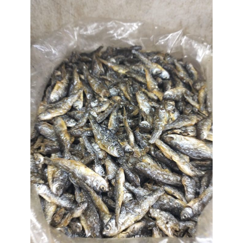 

ikan bilih danau singkarak 250 gr