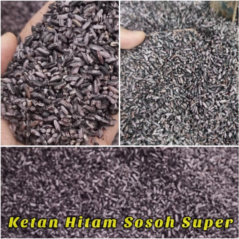 

Ketan Hitam Sosoh Super 2 KG Beras Ketan PK - Bambu Wangi