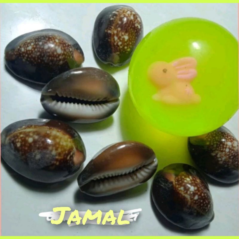 BOLA BEKEL BIJI KERANG (Mainan Jadul)