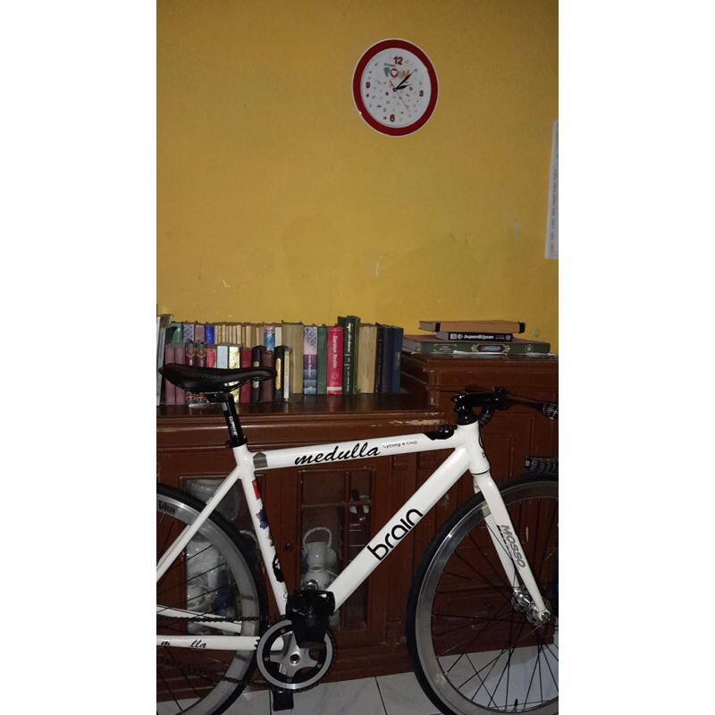 Frameset Brain Medulla