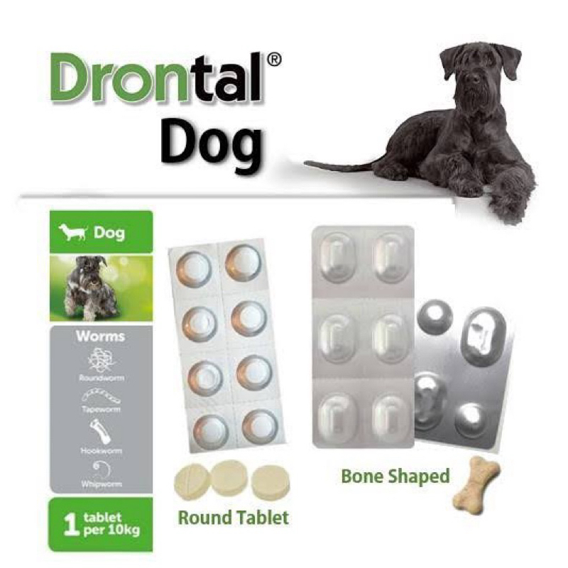 DRONTAL DOG 1 PC OBAT CACING ANJING OBAT CACING PUPPY OBAT CACING TABLET OBAT CACING DRONTAL DOG TAS