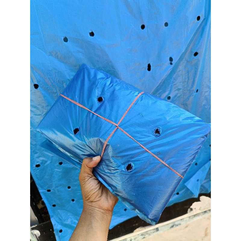 Brongsong Pisang Cavendish Super premium