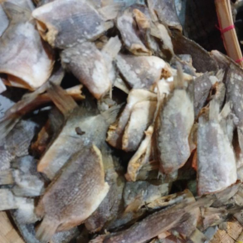 

ikan asin tembangkang