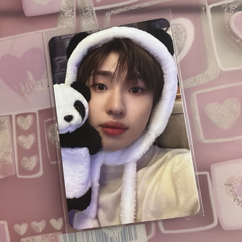 Photocard Official Davin Xodiac - Bene Makestar Panda ver.