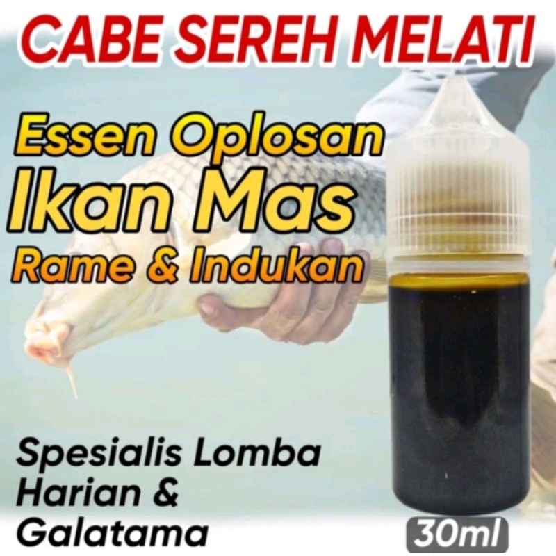 ESSEN Oplosan cabe sereh melati paling gacor khusus ikan mas BABON & rame essen ikan mas