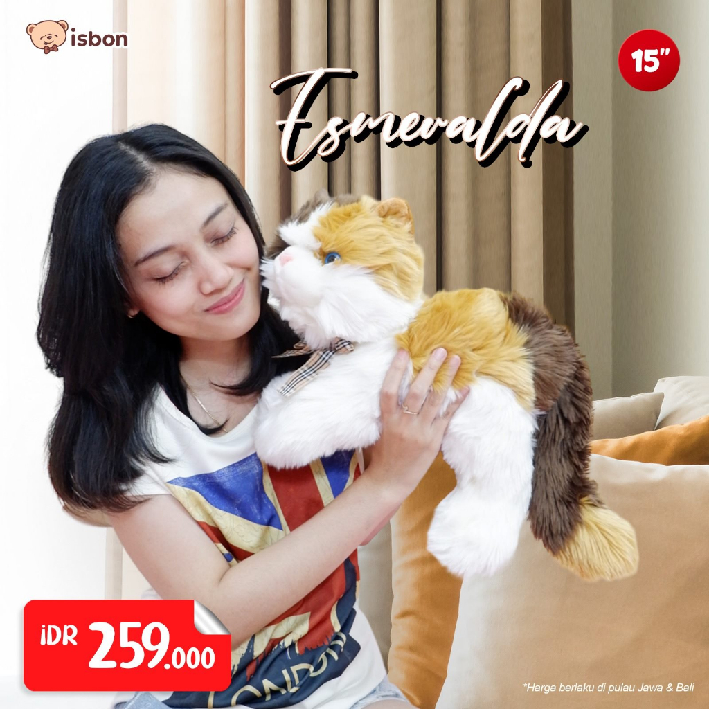 ISTANA BONEKA GRESIK Kucing Esmeralda Istana Boneka Ly Esmeralda Lucu peliharaan kucing kampung loka