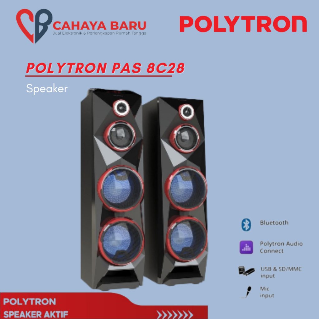 SPEAKER POLYTRON PAS 8C28