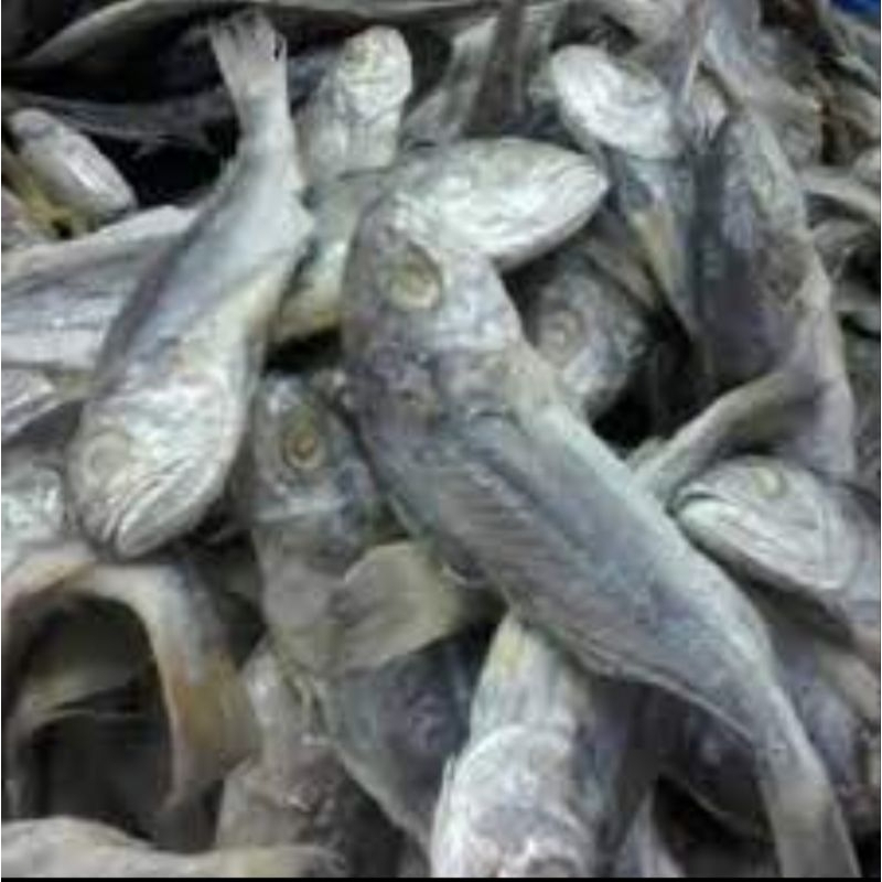 

Ikan asin kepala batu tawar