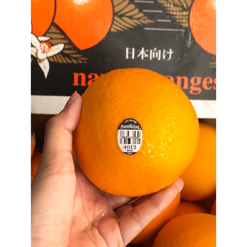 

Jeruk Sunkist Navel USA Size 56 /kg