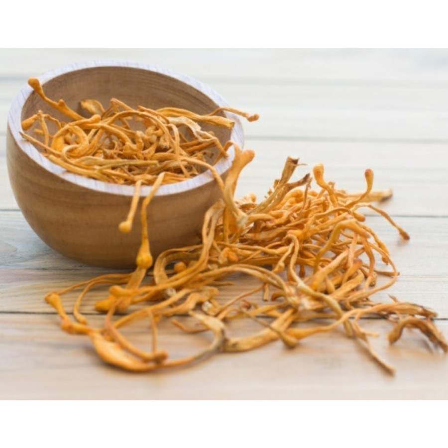 

HS CORDYCEPS MUSHROOM FLOWER PREMIUM QUALITY (50 GRAM)
