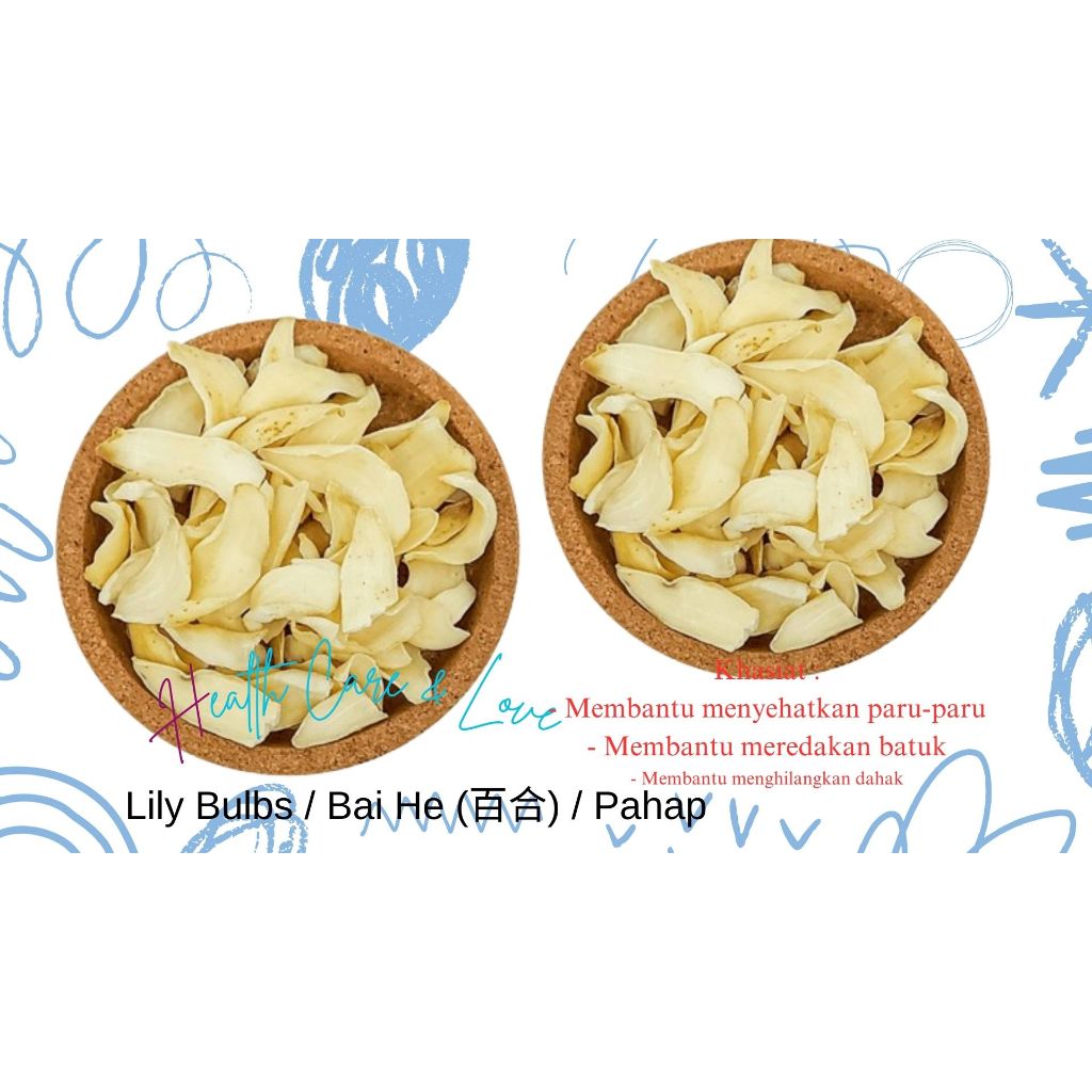 

Bai He 百合 Lilium Brownii/Lily Bulb/Bulbus Lilii 50 Gr
