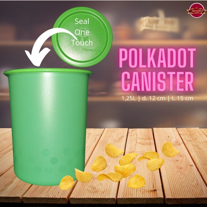 Polkadot Canister