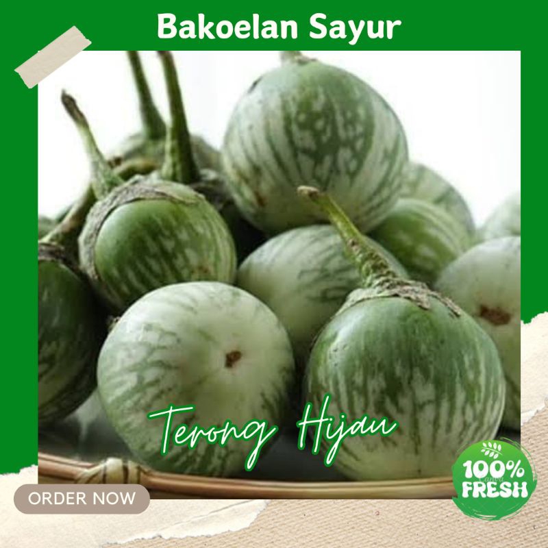 

TERONG LAPAP SEGAR 250GR SAYURAN SEGAR BERKUALITAS PROMO MURAH ENAK SAYUR FRESH