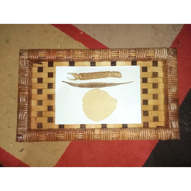 

Ramuan Herbal Nagalaut 3 macam siap rendam