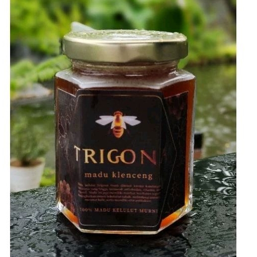 

Madu Trigona Itama Asli 120ML+ ( Asli Tanpa Campuran )