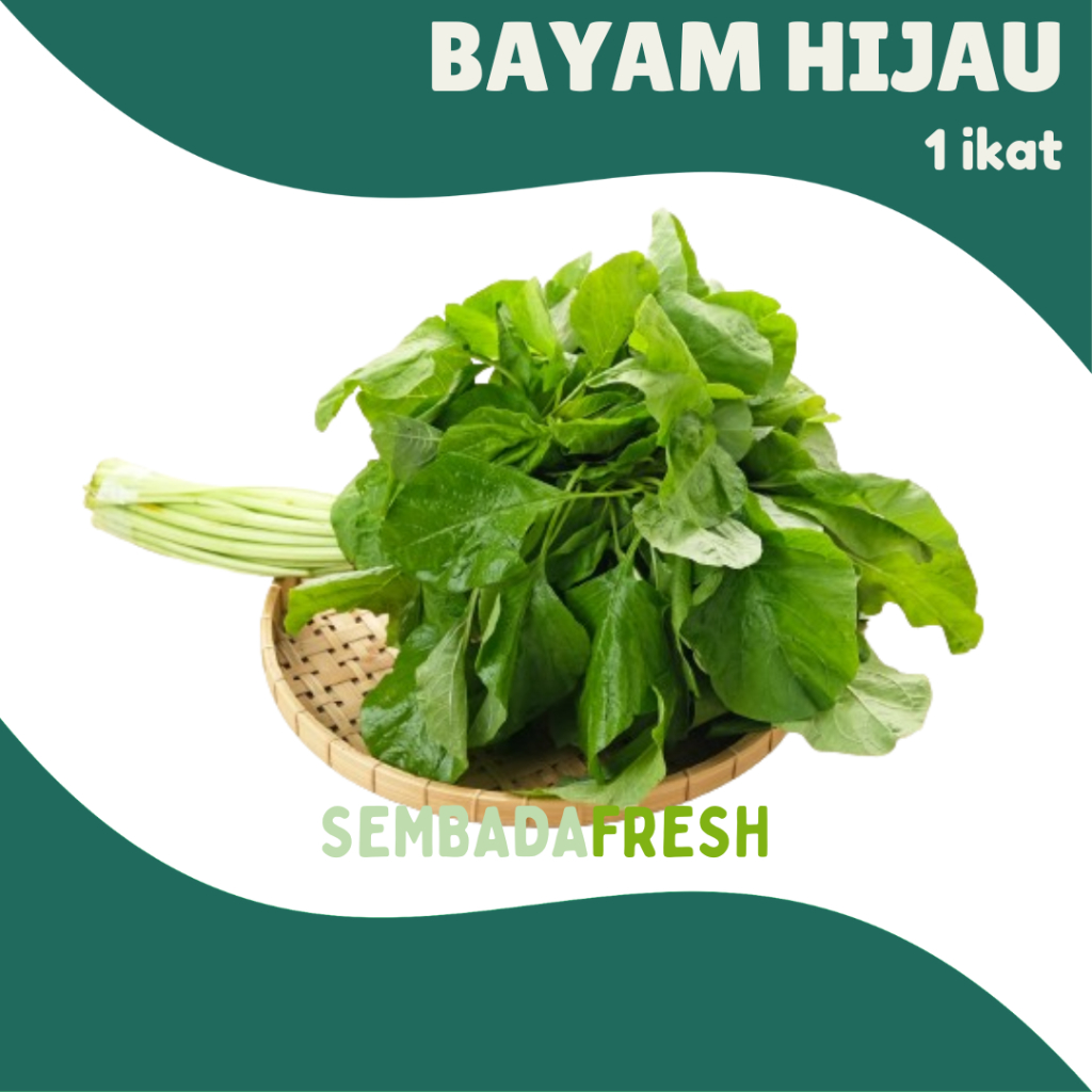 

Bayam Hijau 1 ikat - SEMBADA FRESH [Pengiriman Instant]