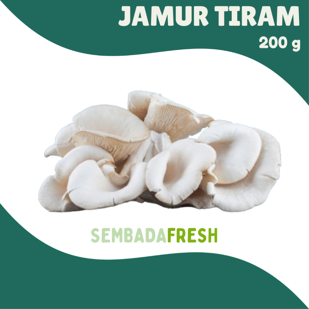 

Jamur Tiram 200 gram - SEMBADA FRESH [Pengiriman Instant]