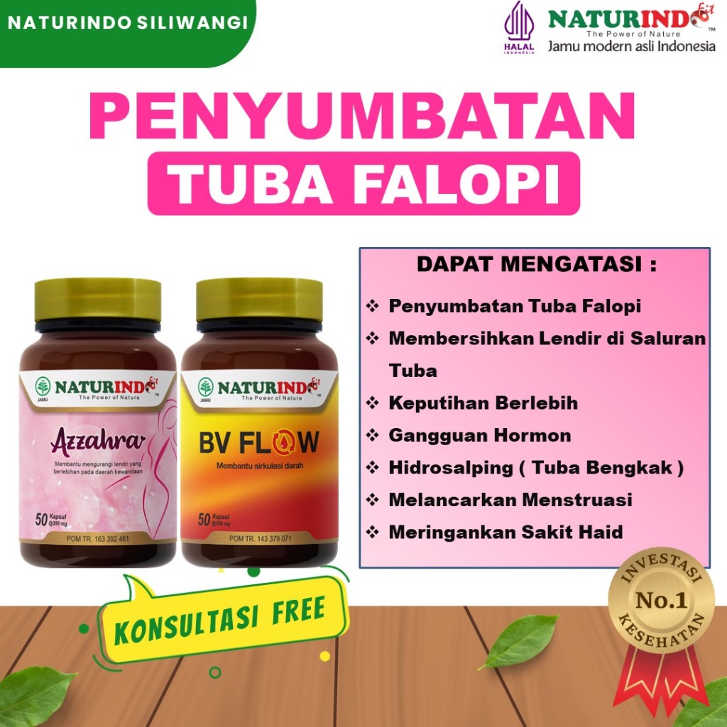Obat Tuba Falopi Tersumbat Ampuh Hidrosalping Tuba Falopi Bengkak Obat Saluran Tuba Falopi Tersumbat