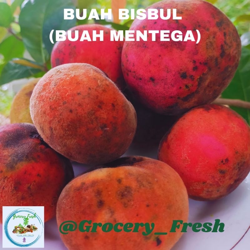 

Buah Bisbul Langka Tanpa Biji (Apel Mentega) Apel Bludru Fresh Rasa Eksotis