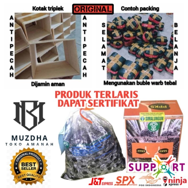 DXP PPKS SIMALUNGUN UNGGUL BERSERTIFIKAT