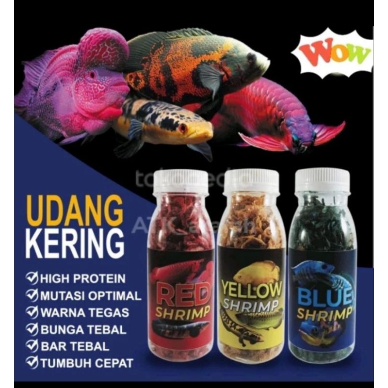 Udang Kering Our Fish / pakan ikan Channa Ys maru bluepulcra andrao