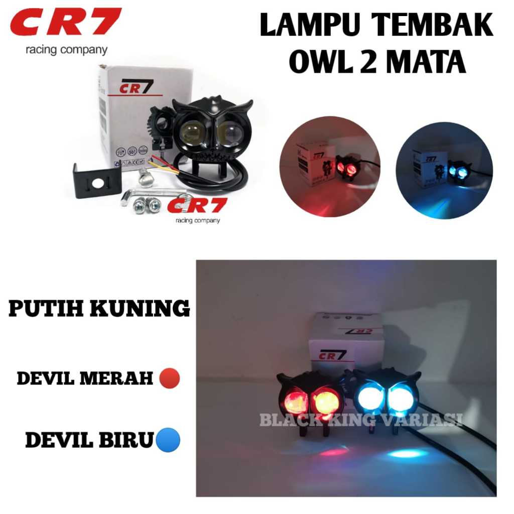 Lampu Owl 2 Lampu Laser LED D2 Owl 2 Warna Wateroof Lampu Burung Hantu