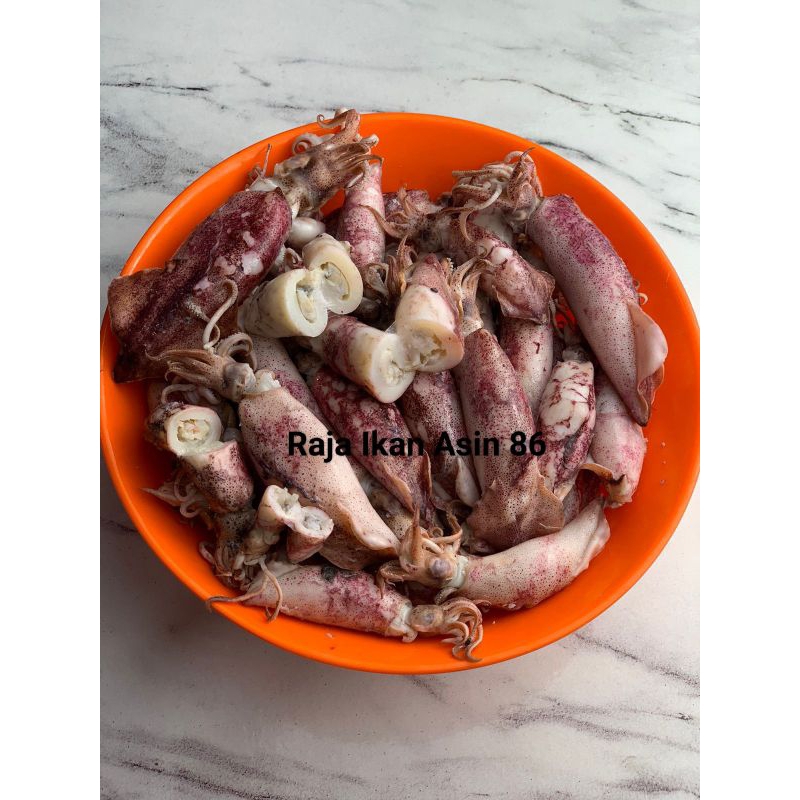 

Cumi Telur Rebus Asin Berkualitas Dan Cumi Telor Super Premium