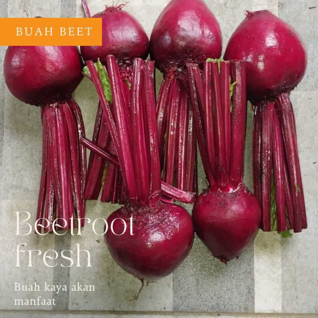 

BUAH BEETROOT MERAH SEGAR 1 KG/ BIT/ BUAH BIT