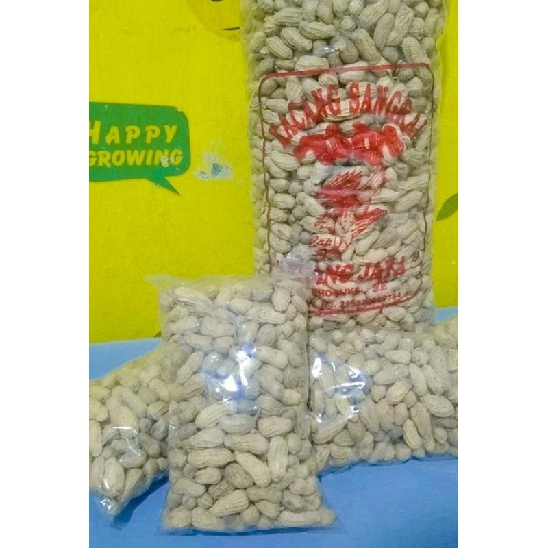 

kacang sangrai 1kg/ kacang kulit.