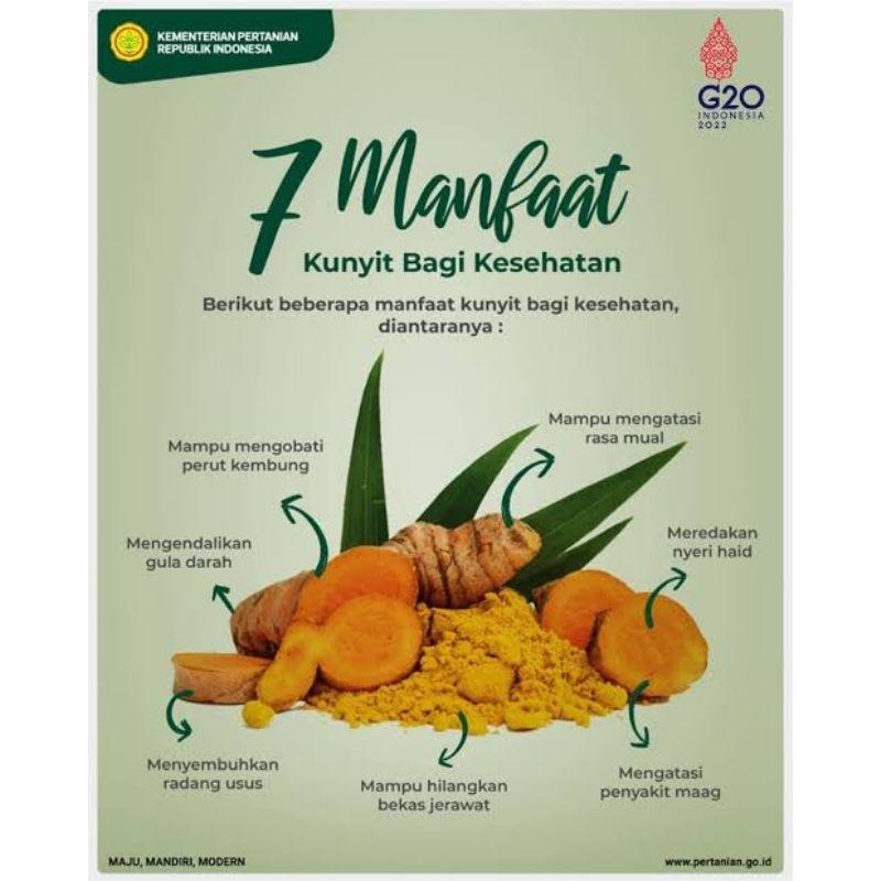 

Kunyit Bubuk 100% Asli Tanpa Campuran Apapun, Efektif Untuk Asam Lambung, Mag, Isi 1kg